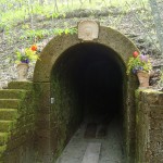 III